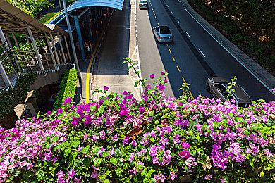 云顶之弈S8.5羁绊效果全览图，云顶之弈S8.5新羁绊一览表